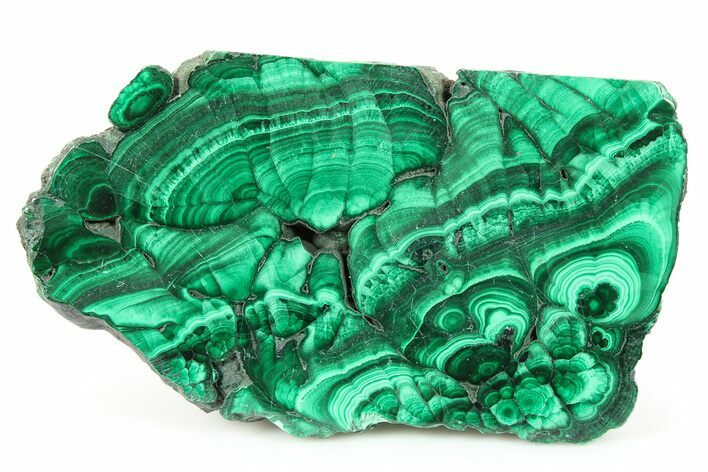 Flowery Polished Malachite Slab - DR Congo #266804